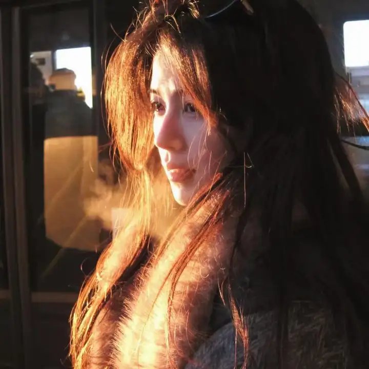 精灵宝可梦：比克提尼与黑之英雄捷克罗姆国语