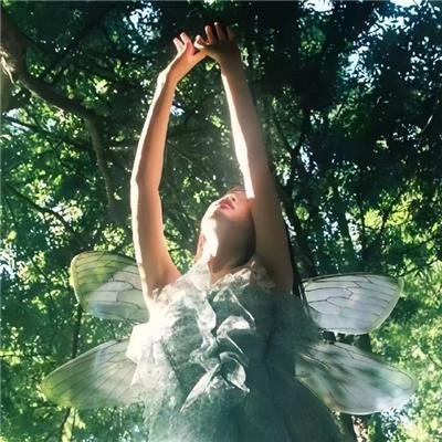 男生女相：华语电影之性别