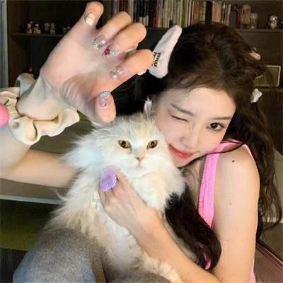 麒麟特战队之机甲核心